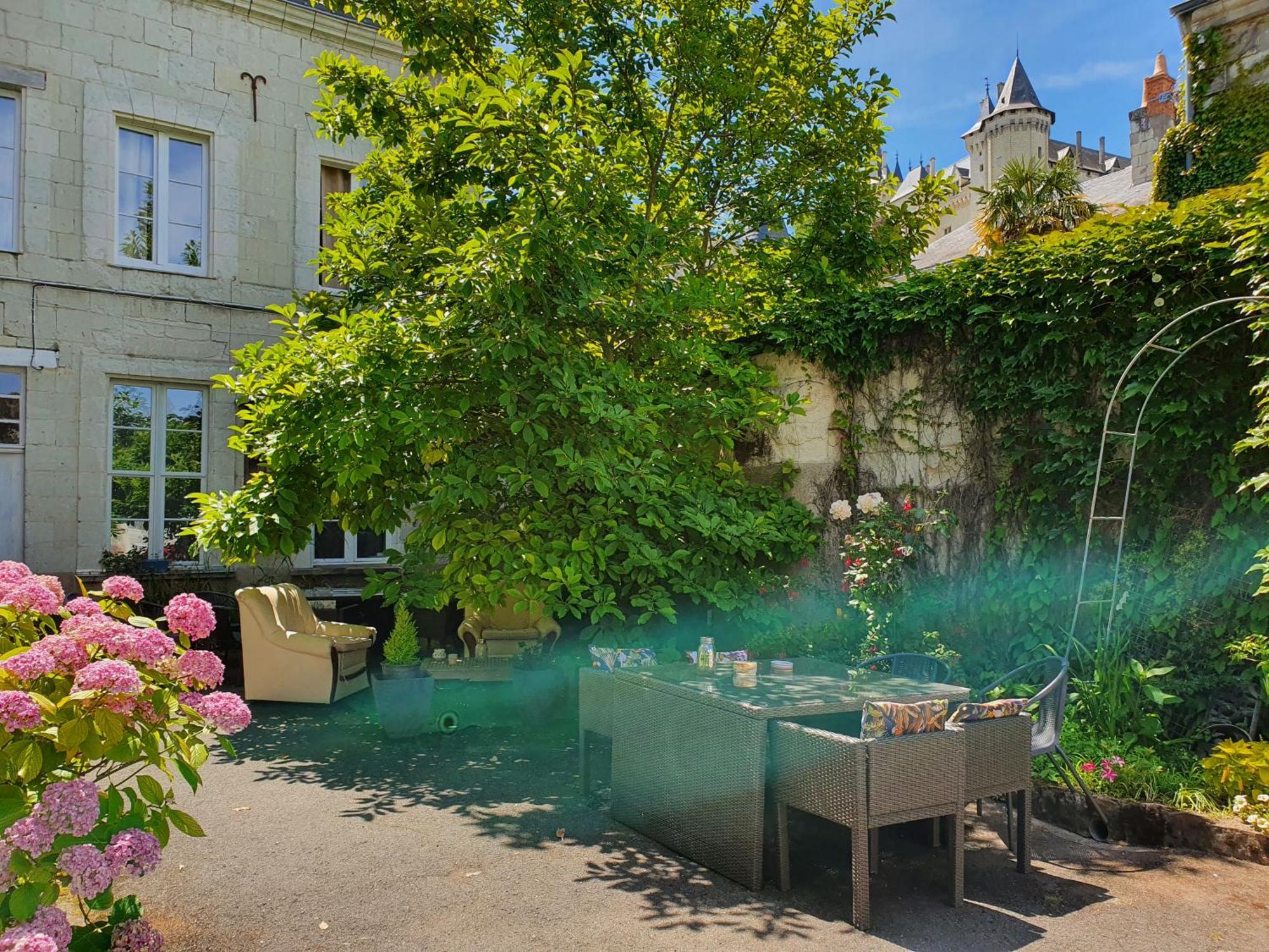 Vue Sur Chateau Et Loire Saumur Exterior photo